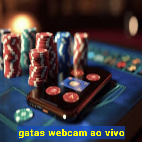 gatas webcam ao vivo